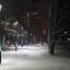 В конце декабря в дендропарке Академгородка подключили 124 новых парковых светильника