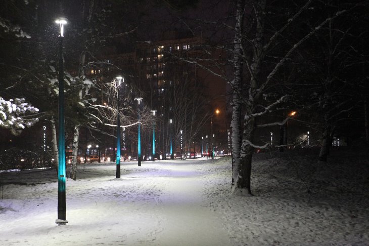 В конце декабря в дендропарке Академгородка подключили 124 новых парковых светильника