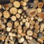 Количество незаконных рубок леса сократилось вдвое в Иркутской области в 2021 году