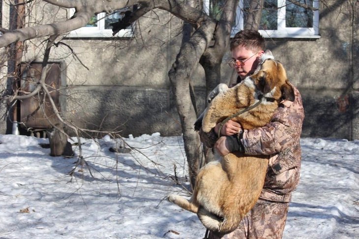 Власти Иркутска запланировали отловить в 2022 году 359 бездомных собак