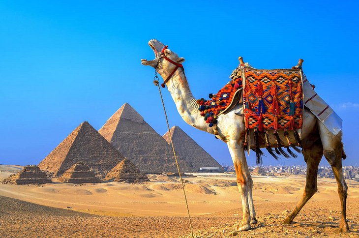 С 22 января в Египте будут тестировать на COVID-19 всех туристов из России