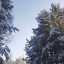 Небольшой снег пройдет в Иркутске в пятницу