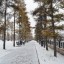 На выходных в Иркутской области ожидается облачная погода и небольшой снег