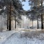 Небольшой снег пройдет в Иркутске в субботу