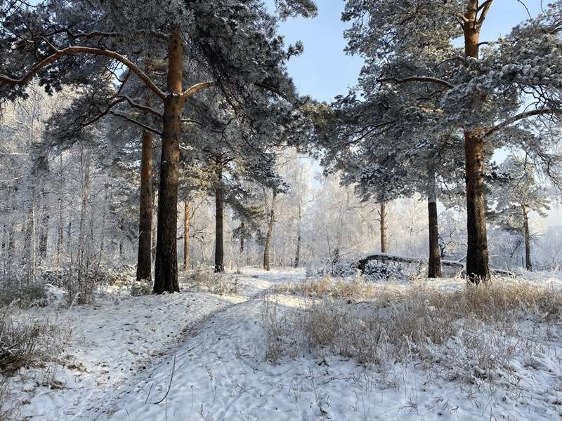 Небольшой снег пройдет в Иркутске в субботу