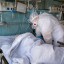 542 человека заболело коронавирусом в Иркутской области на 22 января