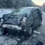 Два человека погибли и 63 пострадали на дорогах Иркутской области за неделю