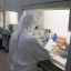 574 человек заболели коронавирусом в Приангарье за сутки