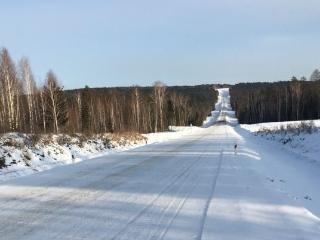 Дорогу Тайшет - Чуна - Братск отремонтируют в Иркутской области