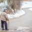 Пенсионеры в России будут побираться на помойках, если примут новый закон - эксперт