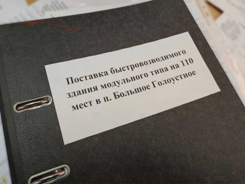 Заммэра Иркутского района задержали за взятку при строительстве школы-детсада в Большом Голоустном