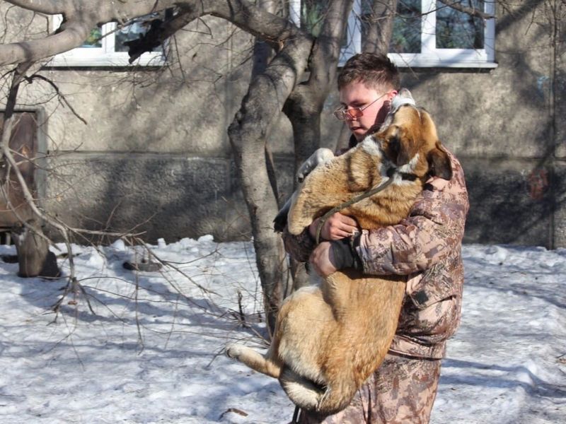 70 бездомных собак отловили в Иркутске с начала января