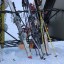 Горнолыжники Иркутской области выиграли медали всероссийских соревнований «Сибирские бобрята»