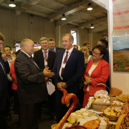 Муниципалитеты Приангарья хвастаются достижениями на выставке в Иркутске