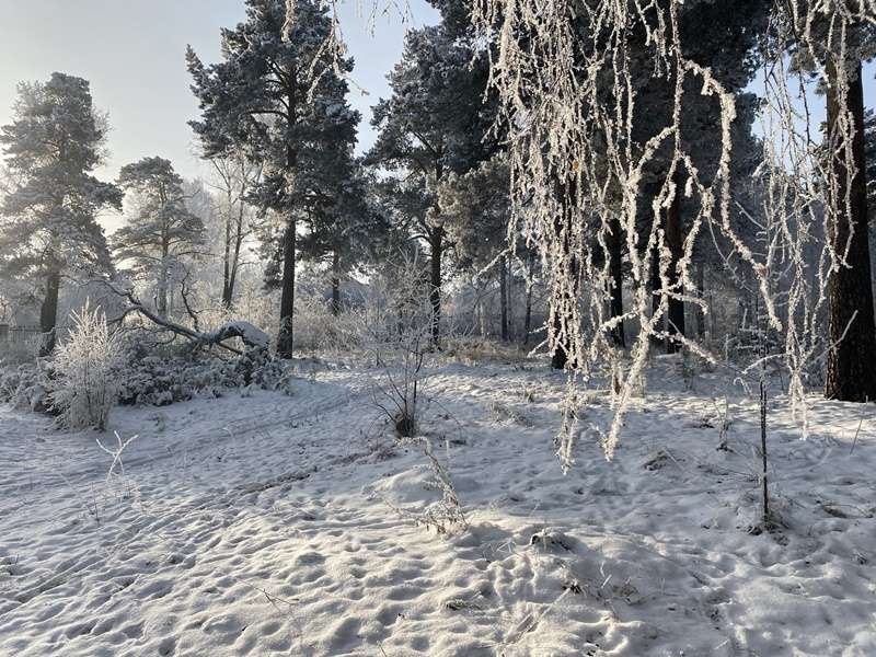 Зима в Иркутской области была аномально теплой и снежной