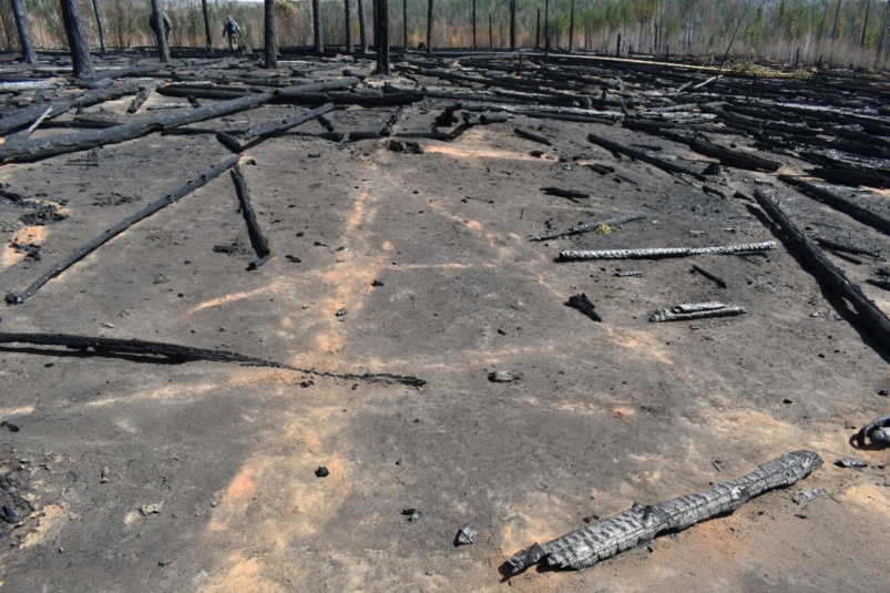 Виновников лесного пожара на площади 120 га установили в Боханском районе Приангарья