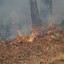 Порядка 12 тысяч га лесов сгорело в Иркутской области с начала сезона