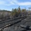 В Боханском районе два тракториста решили уничтожить старую солому и подожгли лес