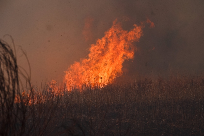 Глава Минприроды: сложная пожароопасная ситуация в Приангарье ожидается до конца мая