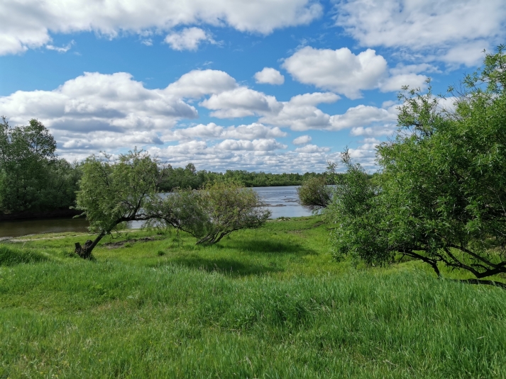 Ученые: Лето в Иркутской области будет теплее обычного