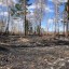 В Боханском районе два тракториста сожгли 120 га леса