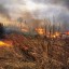 В Иркутской области семьи сгоревших в братском садоводстве получат компенсации