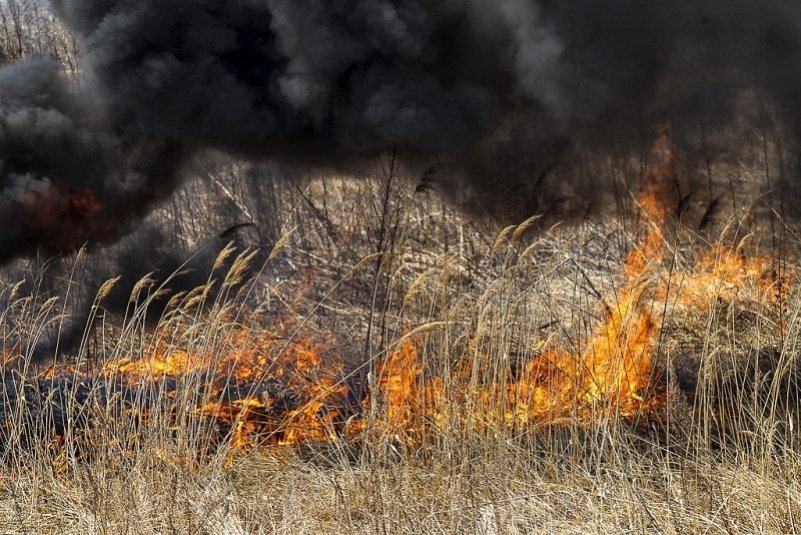 30 га сухой травы горело в Эхирит-Булагатском районе Приангарья по вине пастуха