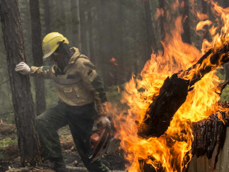 Тушивший лесной пожар тракторист погиб в Иркутской области