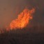Тракторист погиб при тушении лесного пожара в Иркутской области