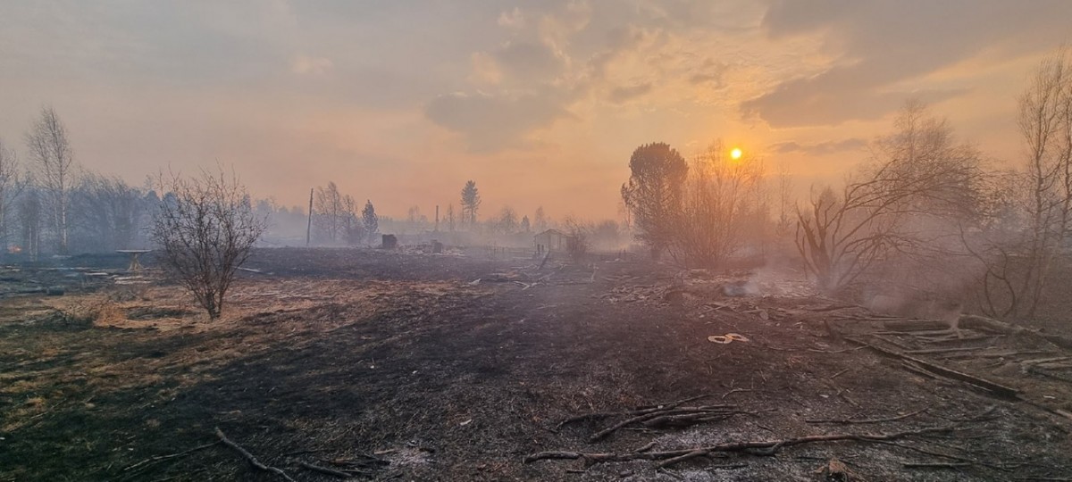Гектары выгоревших полей и десятки уничтоженных строений. Пожарные Братска подводят итоги 4 выходных дней