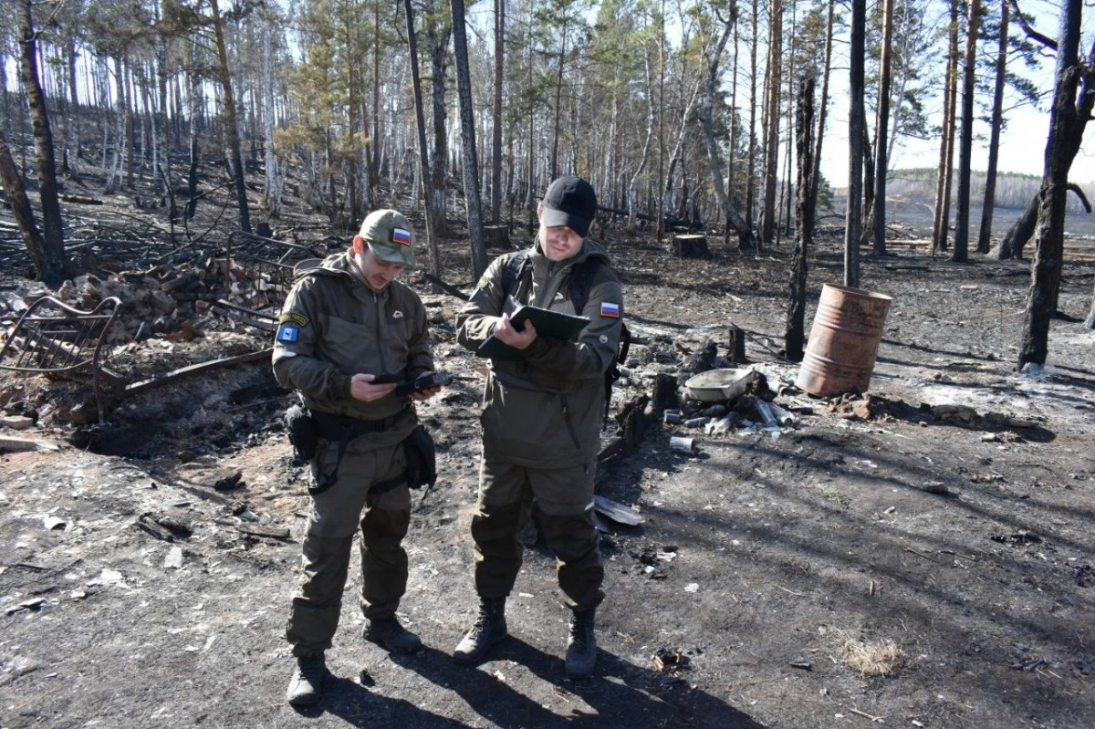 Девять уголовных дел возбуждено дознавателями МЧС России по фактам лесных пожаров в Иркутской области