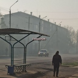 Люди задыхаются. Несколько лесных пожаров действует на территории Тайшетского района
