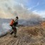 В ближайшие трое суток по Иркусткой области ожидается высокая пожароопасность лесов
