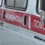 Десять человек госпитализированы с подозрением на клещевой энцефалит в Иркутской области