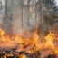За сутки в Иркутской области ликвидирован 21 лесной пожар