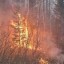 Мэр Братского Дубровин района рассказал о текущей лесопожарной ситуации
