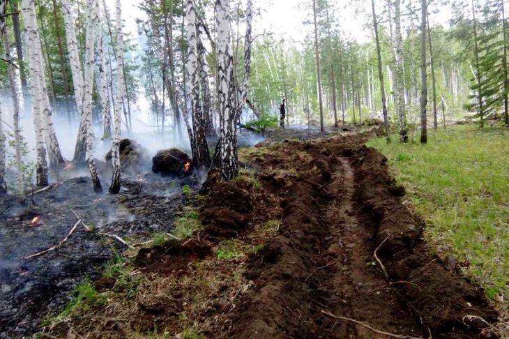 Ситуацию с лесными пожарами в Иркутской области отслеживают с 12 самолетов