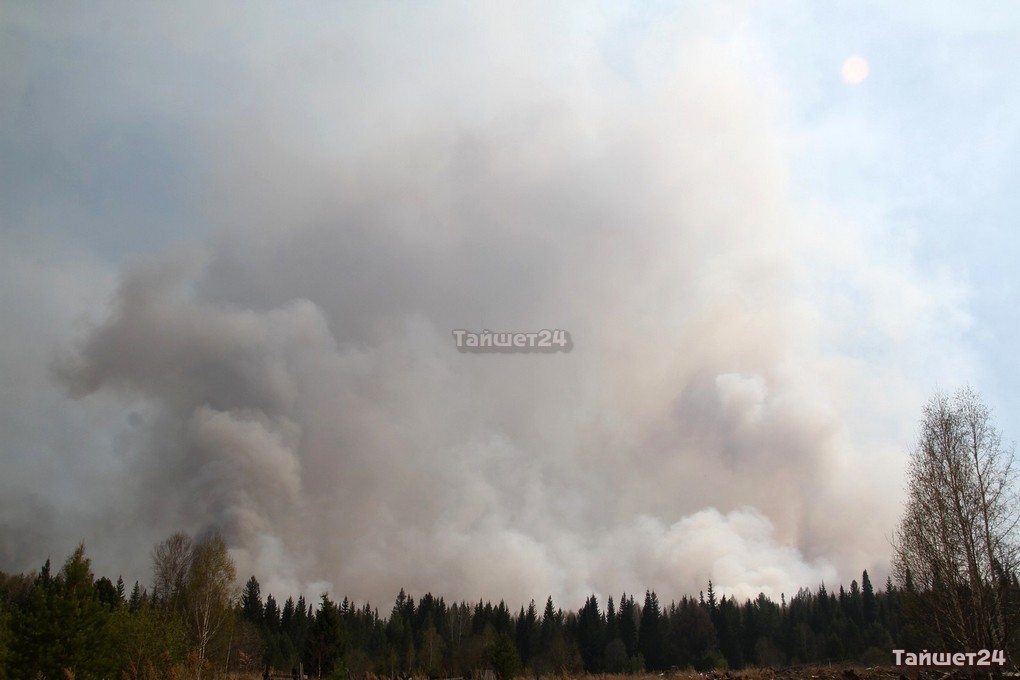 В Тайшетском районе ликвидировано несколько лесных пожаров