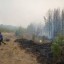 Три населенных пункта спасены от лесных пожаров в Приангарье прошлой ночью