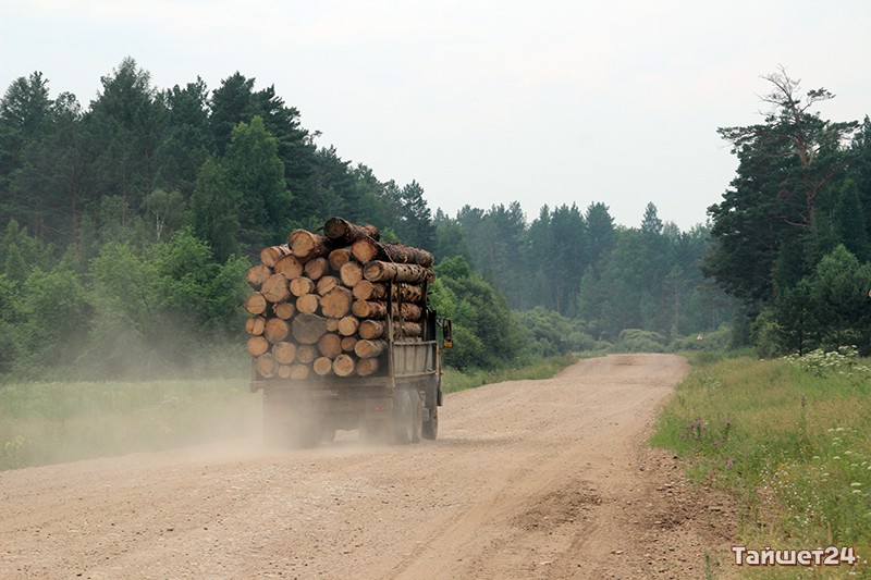В Тайшете будут судить двух контрабандистов за вывоз леса на 200 миллионов рублей