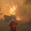 Лесной пожар едва не перекинулся на три населенных пункта Иркутской области прошлой ночью