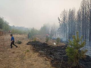 Три населенных пункта спасены от лесных пожаров в Приангарье прошлой ночью
