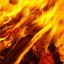 Двадцать лесных пожаров потушили в Иркутской области за сутки