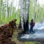 Иркутская область на утро 17 мая на втором месте по количеству лесных пожаров в России