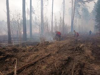 Село Буря в Приангарье спасли от лесного пожара