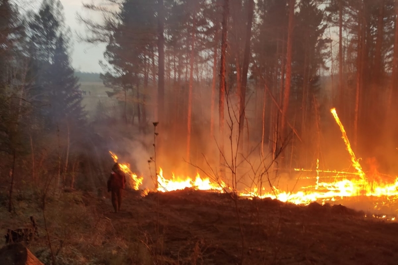 К селу Буря в Зиминском районе Приангарья подошел лесной пожар