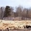 В Иркутской области перекрыли крупный канал контрабанды древесины