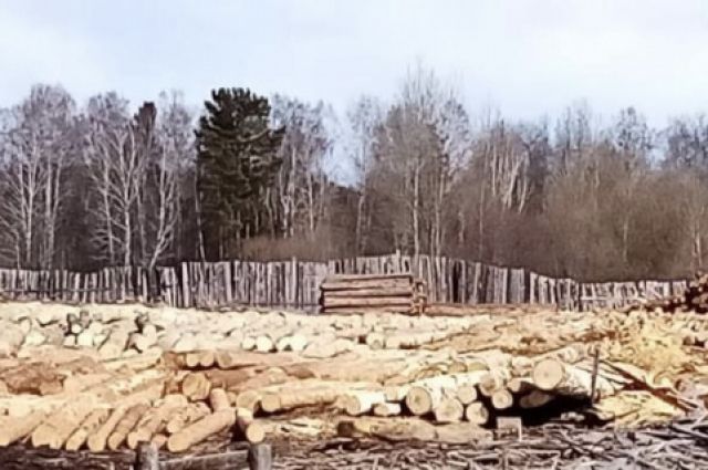 В Иркутской области перекрыли крупный канал контрабанды древесины