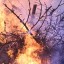 Иркутская область поднялась на первое место по площади лесных пожаров в России
