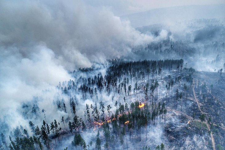 Иркутская область на 18 мая вышла на первое место в России по площади лесных пожаров
